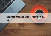 seo优化搜盈seo公司（搜索优化 seo）