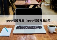 app小程序开发（app小程序开发公司）