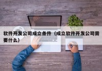 软件开发公司成立条件（成立软件开发公司需要什么）