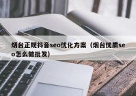 烟台正规抖音seo优化方案（烟台优质seo怎么做批发）