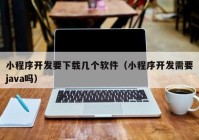 小程序开发要下载几个软件（小程序开发需要java吗）