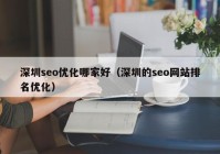 深圳seo优化哪家好（深圳的seo网站排名优化）