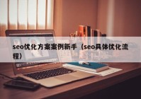 seo优化方案案例新手（seo具体优化流程）