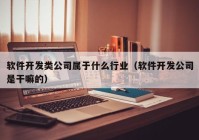 软件开发类公司属于什么行业（软件开发公司是干嘛的）