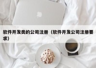 软件开发类的公司注册（软件开发公司注册要求）