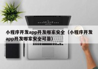 小程序开发app开发哪家安全（小程序开发app开发哪家安全可靠）