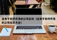 适用于软件开发的公司名称（适用于软件开发的公司名称大全）