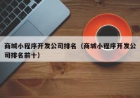 商城小程序开发公司排名（商城小程序开发公司排名前十）