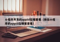 小程序开发的appid在哪里看（微信小程序的appid在哪里查看）