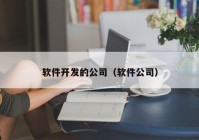 软件开发的公司（软件公司）