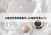 小程序开发教程黑马（小程序开发入门）