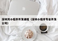 深圳湾小程序开发课程（深圳小程序专业开发公司）