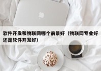 软件开发和物联网哪个前景好（物联网专业好还是软件开发好）