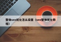 整体seo优化怎么设置（seo整体优化教程）