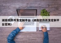 湖南软件开发定制平台（湖南软件开发定制平台官网）