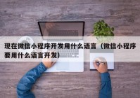 现在微信小程序开发用什么语言（微信小程序要用什么语言开发）