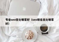 专业seo优化哪家好（seo排名优化哪家好）