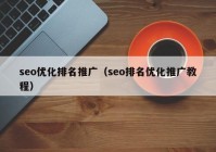 seo优化排名推广（seo排名优化推广教程）