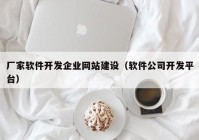 厂家软件开发企业网站建设（软件公司开发平台）