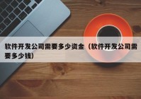 软件开发公司需要多少资金（软件开发公司需要多少钱）