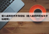 猪八戒网软件开发招标（猪八戒网的投标与中标规则）