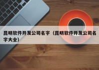 昆明软件开发公司名字（昆明软件开发公司名字大全）